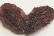 Weirdest Genetically Modified Foods - Would You Like To Try Them?